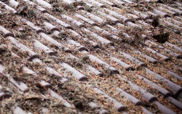 Kensworth roof cleaning companies